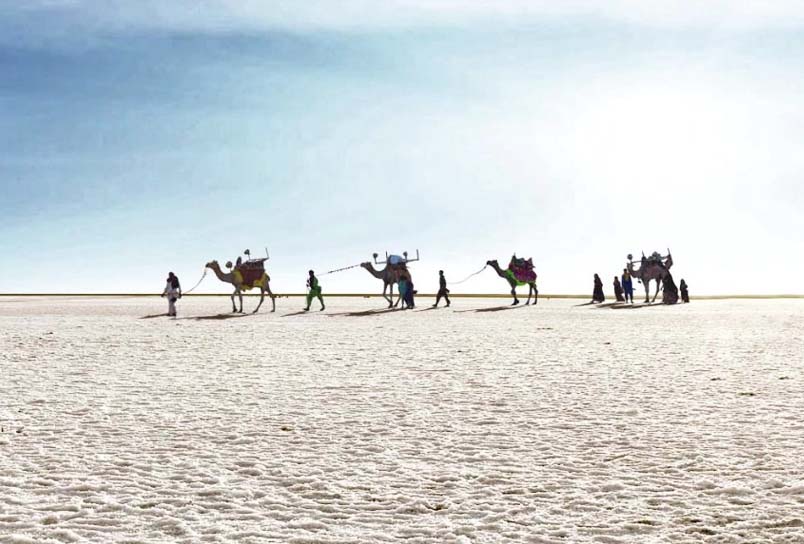 Kutch Rann Utsav